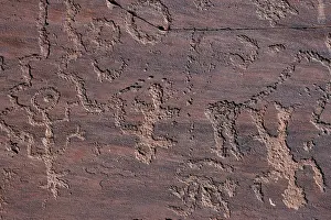 Ancient Prints: Petroglyphs from the Basketmaker period (300-700 AD), Lyman Lake, Arizona, USA. May, 2003