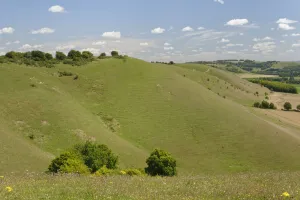 Exploring Britain Gallery: Pewsey Downs and the Vale of Pewsey, viewed from Knap Hill in summer, near Devizes