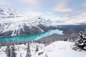 Images Dated 29th September 2007: Peyto Lake, coloured by glacial silt, Banff-Jasper National Parks, Alberta, Canada, 2007