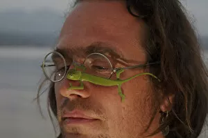 Images Dated 26th May 2009: Photographer, Christian Ziegler, with a juvenile African chameleon (Chamaeleo africanus)