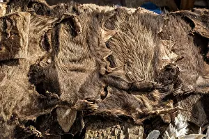 Culture Prints: Pile of Honey badger skins for sale for traditional beliefs in Bamako market