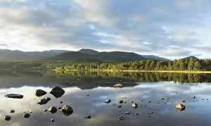 Pine forest and mountains reflected in Loch Morlich, Rothiemurchus, Cairngorms National Park