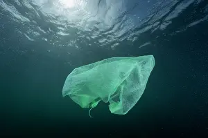 Environmental Issues Prints: Plastic bag floating in open ocean, Atlantic Ocean, UK
