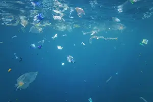 Environmental Issues Prints: Plastic bags and waste floating underwater in Indian Ocean