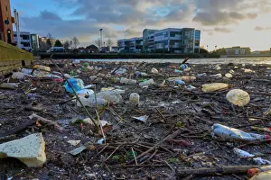 Man Made Material Prints: Plastic and woody debris (mostly Japanese knotweed) washed down the River Irwell into Salford Quays after a storm