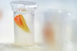 Equipment Prints: Pleopod sample from a female European lobster (Homarus gammarus) inside test tube
