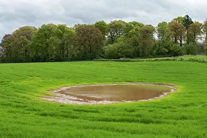 Herefordshire Prints: Ploughed over kettle hole pond