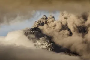 Images Dated 2015 August: 21 Aug 2015