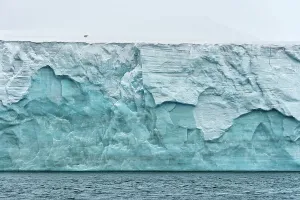 Polar bear (Ursus maritimus) walking on Champ Island glacier above the sea, Franz Josef Land, Russian Arctic. Highly commended in Animals in their Environment Category of the Wildlife Photographer of the Year Awards (WPOY) Competition. 2018