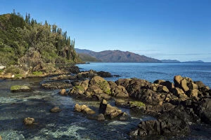 2019 June Highlights Gallery: Porc Epic Peninsula, Southern Lagoon, Forgotten Coast, Lagoons of New Caledonia: Reef Diversity