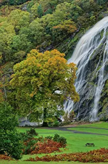 Waterfall Prints: Powerscourt waterfall on the River Dargle