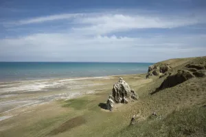 Qinghai Lake shore with Great cormorants (Phalacrocorax carbo sinensis) colony nesting on rocks