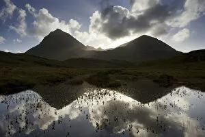 Images Dated 5th October 2008: Quinag (Sail Ghorm and Sail Gharbh) and moorland pool, Assynt, Sutherland, NW Scotland, UK, October