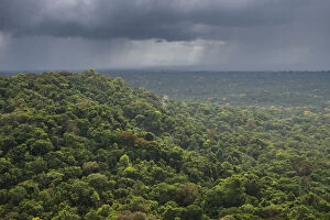 Aerial View Gallery: Rain storm over rainforest, Essequibo river region 9, Iwokrama, Rupununi, Guyana