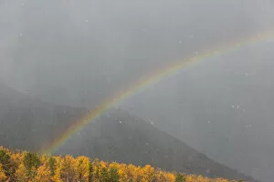 Rainbow arching over mountains and sunlit trees in snowstorm, Northern Baikal, Siberia, Russia. October, 2020