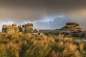 Images Dated 14th November 2013: Rainbow at Combestone Tor, early morning light, Dartmoor National Park, Devon, UK