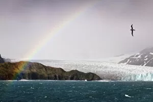 Spectrum Collection: rainbow, Fortuna Bay, South Georgia. (digitally stitched image) similar to 01296715