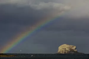 Rainbow and storm clouds over Bass Rock in the distance, which is the breeding ground for 140