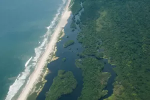 Nature's Last Paradises Collection: Rainforest on the coast of the Atlantic Ocean, Gamba, Gabon