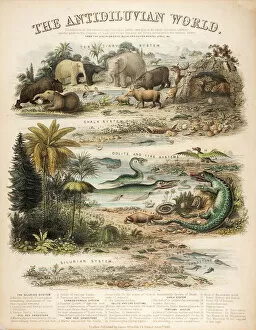 Images Dated 21st March 2012: A rare British broadsheet illustration with contemporary hand colouring