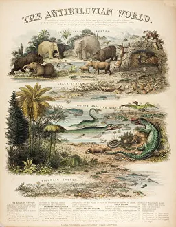 Sandstone Prints: A rare British broadsheet illustration with contemporary hand colouring