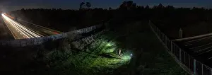 Grazing Prints: Red deer (Cervus elaphus) grazing at night on a wildlife crossing above the A10 highway