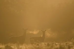 Images Dated 2010 August: 