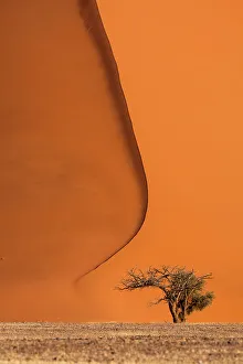 Red dunes of Sossusvlei, Namib Desert, Namibia