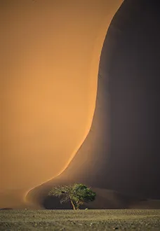 Images Dated 3rd July 2014: Red dunes of Sossusvlei, Namibia