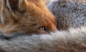 Images Dated 2019 April: 17 Apr 2019