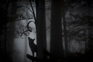 Red fox (Vulpes vulpes) silhouetted in mixed beech-Douglas fir forest