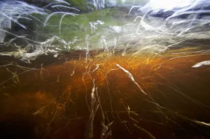 Red water caused by tannins in peat bog flowing out of the Etang de la Gruere, peat bog