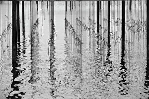 Images Dated 7th January 2014: Reflections in water at mussel farm in the bay of Fos-sur-Mer, Camargue, France, September