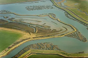 Remnant saltmarsh and coastal realignment at Abbotts Hall Farm, Essex, UK, March 2012