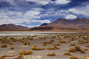 The remote region of high desert, altiplano and volcanoes near Tapaquilcha, Bolivia