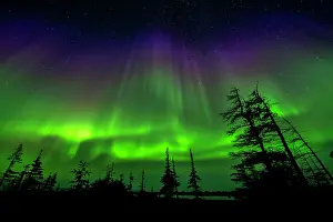 Natural Light Prints: RF - Aurora borealis above the tundra near Churchill