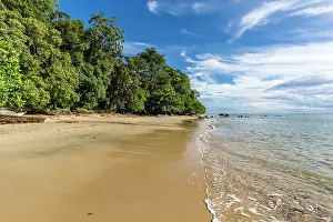 Republic Of Madagascar Prints: RF - Beach and coastal rainforest