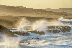 Sunset Prints: RF - Breaking waves on the rocky shore at dusk