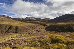 UK Wildlife August Gallery: RF - Heather moorland in the foothills of the Cairngorm mountains, Scotland, UK.August