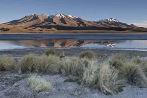 Bernard Castelein Collection: RF- Landscape of Laguna Hedionda, Altiplano, Bolivia, April 2017