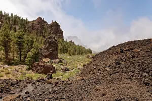 Volcano Prints: RF - Sea of cloud rising above old lava flows at 2100m in Las Canadas caldera below Montana del Cedro