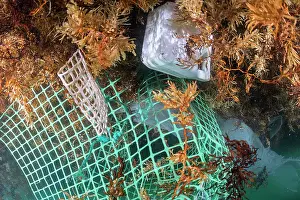 Environmental Issues Prints: RF - Various types of drifting waste such as plastic bottles, bags, nets, ropes, etc