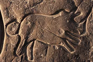 Images Dated 24th July 2020: Rhinoceros rock art, Sahara desert, Ait Ouaazik, Southern Morocco, Africa