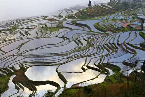 2018 November Highlights Collection: Rice terraces at sunrise, near Duoyishu village, Yunnan Province, China