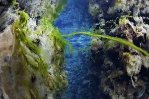 Tectonic Plates Prints: Rift between the North American and Eurasian tectonic plates at Thingvellir, Thingvellir