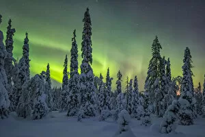 Guy Edwardes Gallery: Riisitunturi in winter with Aurora Borealis, Kuusamo, Lapland, Finland. January 2016