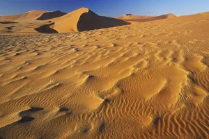 Sand Dunes Prints: Ripples in the sand dunes, Namib-Naukluft NP, Namib desert, Namibia