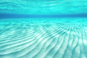 2020 January Highlights Gallery: Ripples of sand on a shallow seabed. East End, Grand Cayman, Cayman Islands, British West Indies