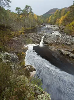 Images Dated 27th October 2010: River Affric flowing through Silver birch and Scots pine woodland in autumn, Glen Affric