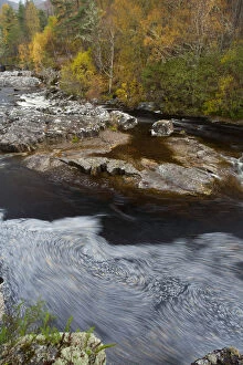 River Affric flowing through Silver birch and Scots pine woodland in autumn, Glen Affric